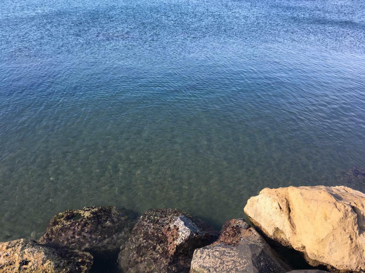 Villa Venere Near The Sea- 25 Minutes To S.Peter Ladispoli Esterno foto
